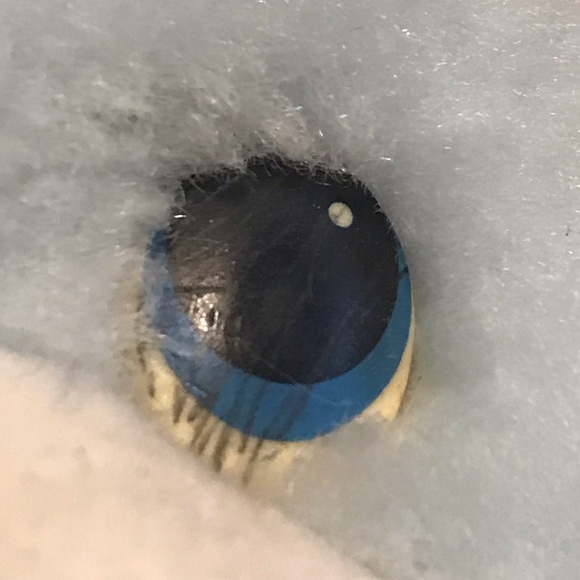 Vintage 1983 Care Bear Baby Tugs - Picture 5 of 10